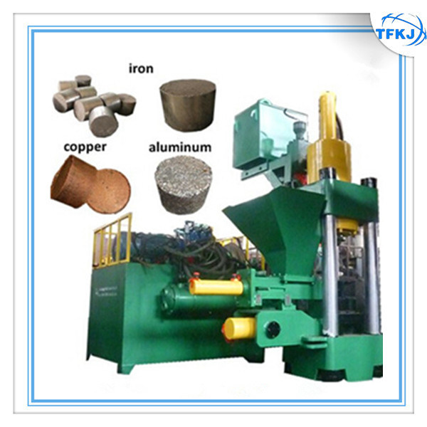 China Manufacturer Make to Order Screw Iron Aluminum Briquette Press