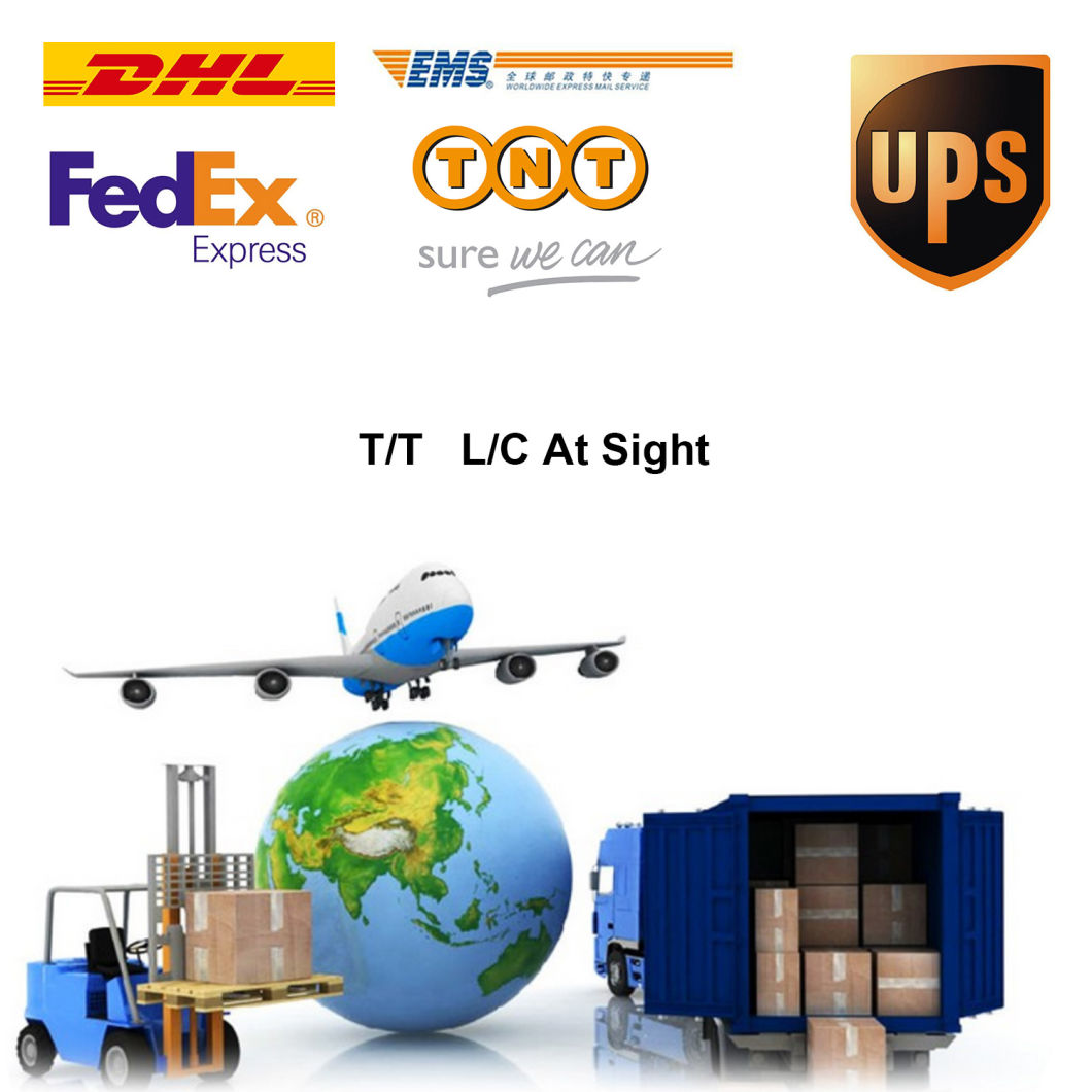 Water Supply Pipeline Sonar Inspection System