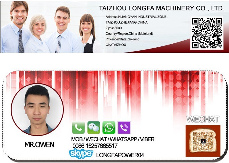 650W 700W Portable 950 Gasoline Generator Set / Electricity Generator