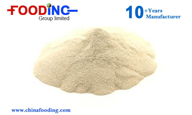 Top Grade Wheat Starch with Best Price