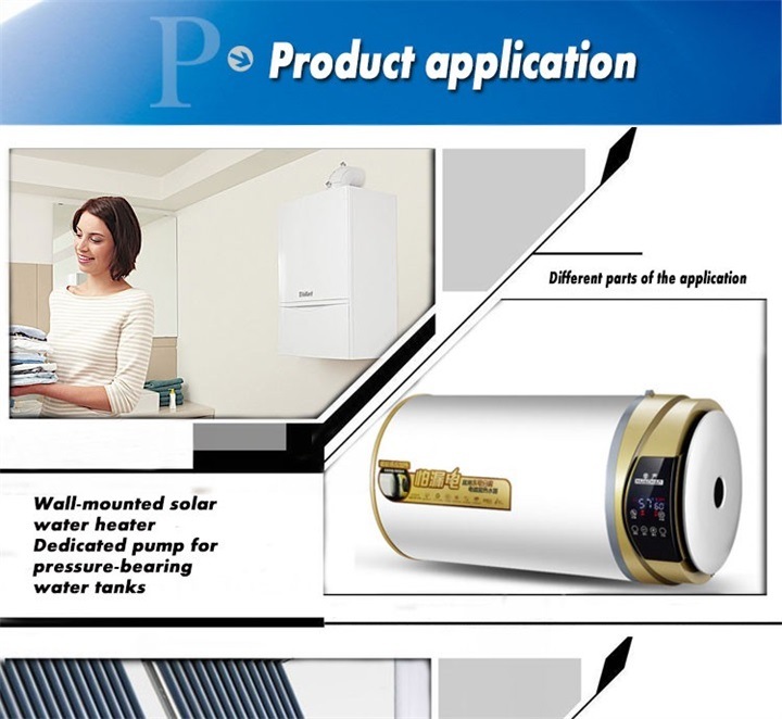 BLDC 12V/24V High Pressure and High Temperature Pump