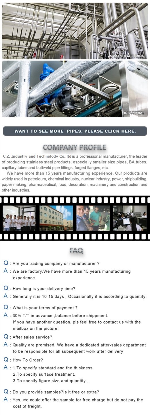 AISI SUS 304 316 316L Seamless Stainless Steel Pipe