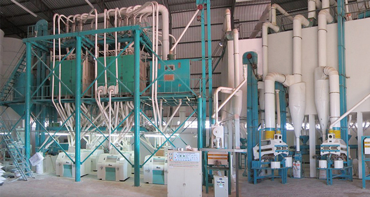 Turnkey Project Price for Grain Milling Machine