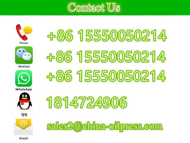 China Factory Supply Peanut Cold Screw Oil Press Making Machine