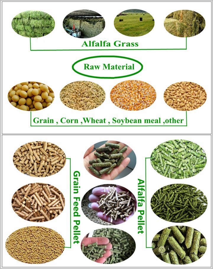 8-10t/H Turn Key Livestock Feed Production Line From Ce Approved Supplier