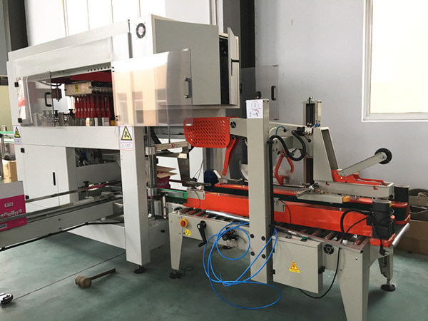 Automatic Carton/Case Packing Machine for Glass or Pet Bottles