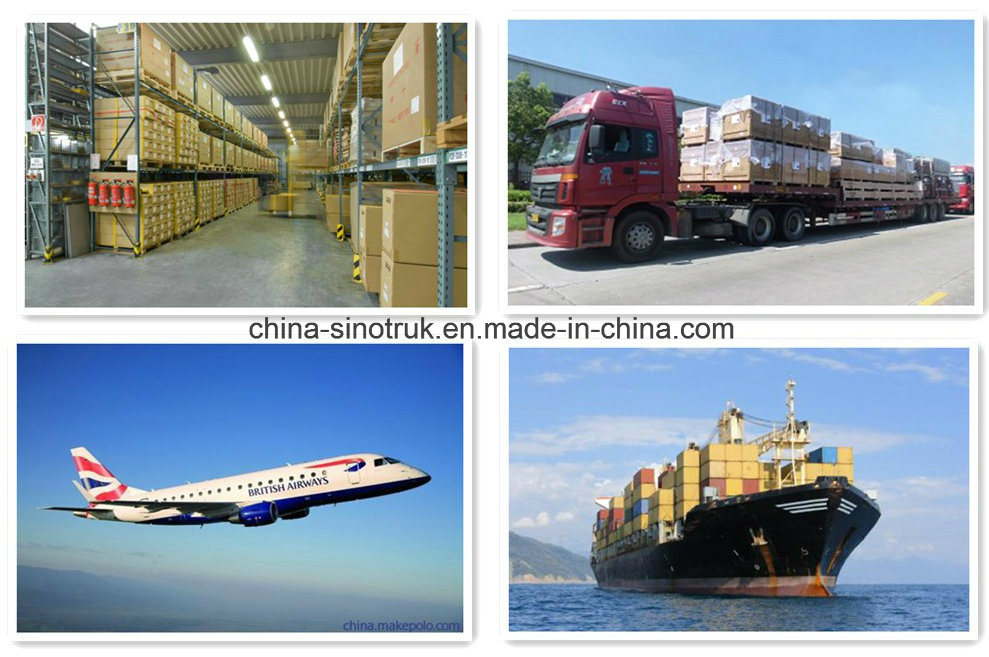 Hot Sale High Quality Mann Oil Filter Ml3614/Wix51348 51515