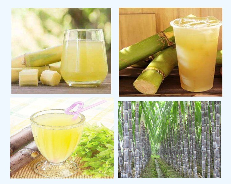 High Juice Rate Sugarcane Extractor Machine Sugarcane Juicer Squeezer