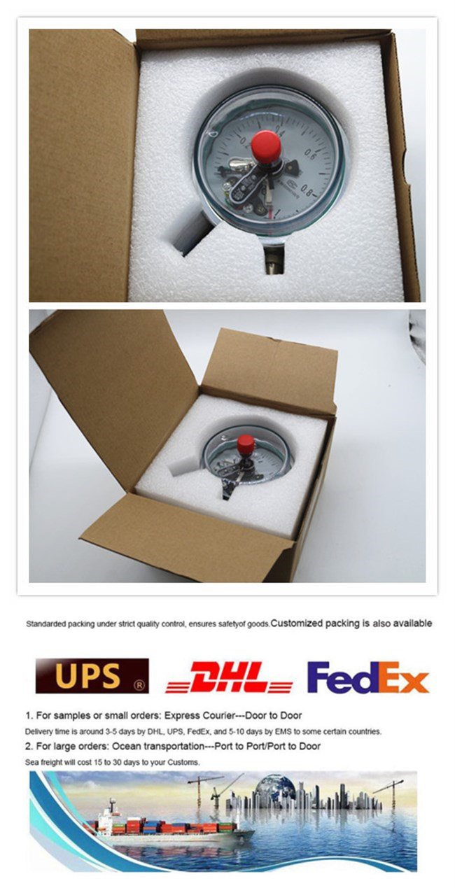 Accuracy Level 0.25% Back and Front Flange Precision Pressure Gauge From China