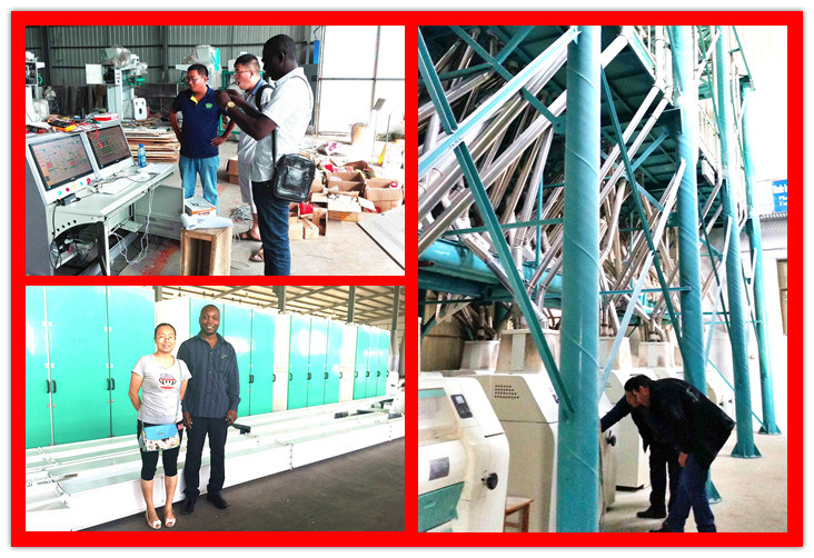 Zambia Nshima Maize Flour Milling Machines for Maize Meal