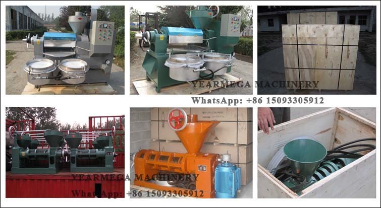 Commercial Production Automatic Edible Screw Seed Oil Press From China