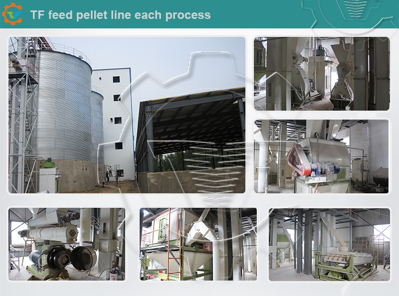 Ce Large Scale Cattle Pellet Feed Production Line