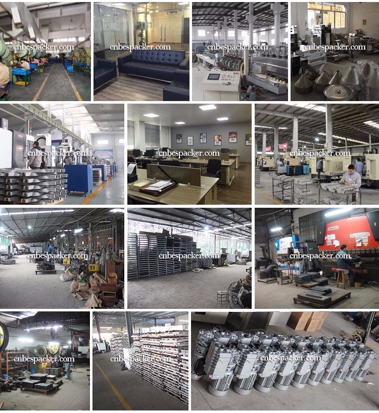 Bespacker horizontal pillow type packing machine