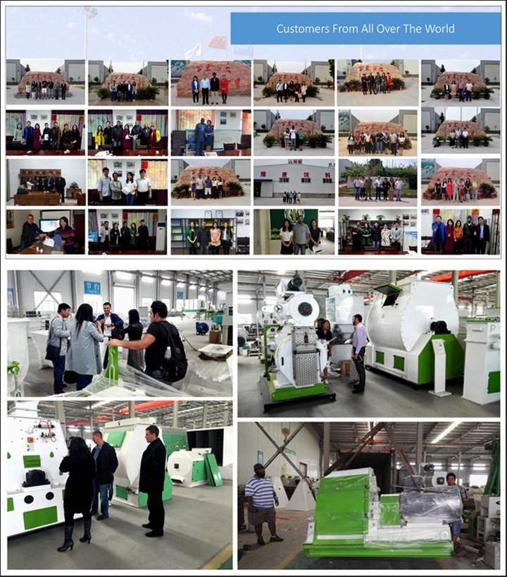 8-10t/H Turn Key Livestock Feed Production Line From Ce Approved Supplier