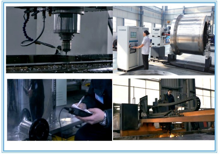 Decanter Separating Centrifuge for Wheat Starch Dewatering