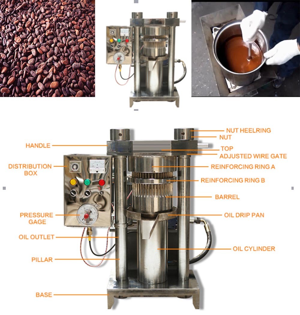 Automatic Sesame Oil Making Machine Hydraulic Oil Press and Hydraulic Cocoa Oil Squeezer for Cold Pressing  Machine