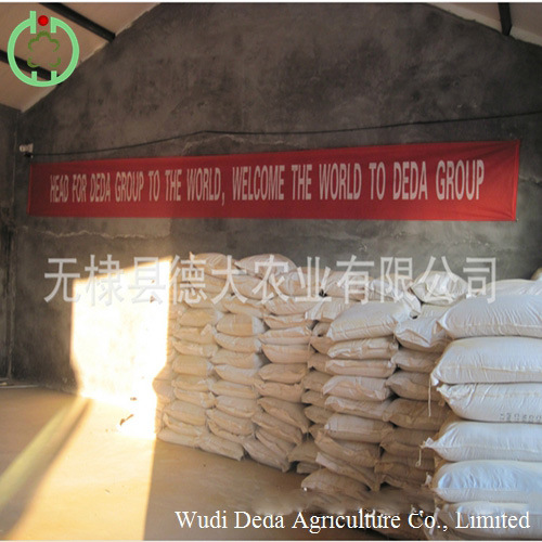 Yellow Feed Grade Corn Gluten Meal 60% Protein Powder