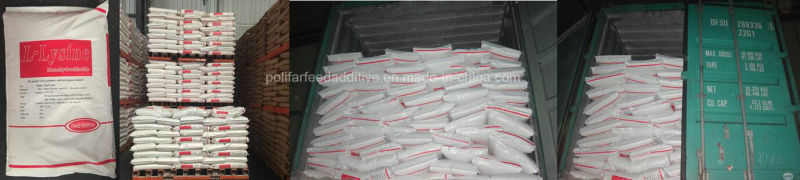 L-Lysine HCl 98.5% Feed Grade Animal Nutrition Poulty Feed Wholesale