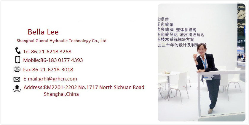 Aluminum High Pressure Double Log Splitter Danfoss Internal Hydraulic Oil Gear Pump