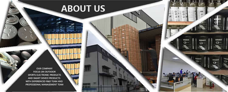 Electronically Controlled Truck Air Dryer for Volvo Wabco 4324251010 4324251050 Ecad