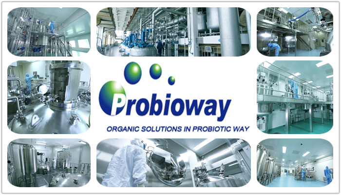 Stable Phytase Alpha Amylase Protease Enzymes Food Feed Additives