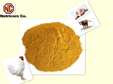 Corn Gluten Meal 60% Protein Feed Grade