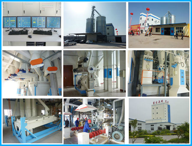 Stainless Steel Hammer Mill for Maize Starch Plant