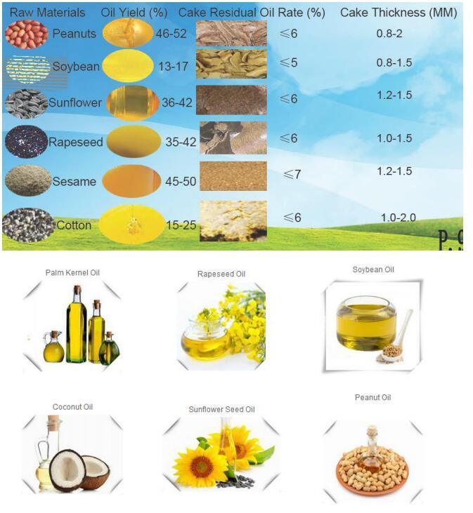 Screw Type Rice Bran Soybean Oil Press