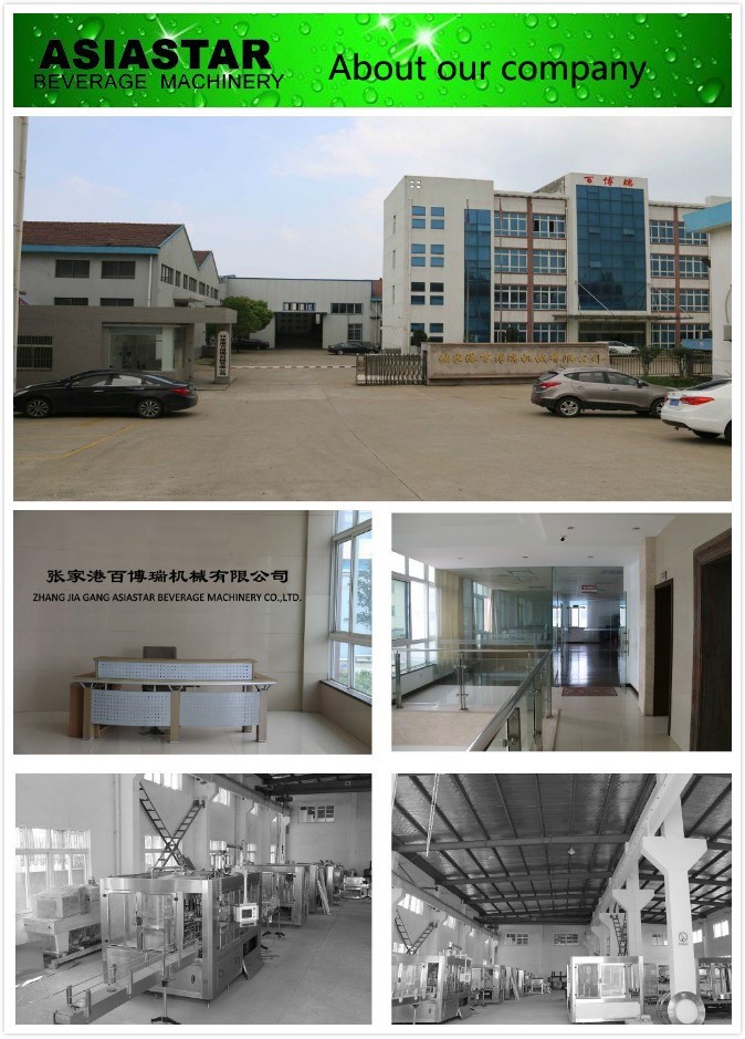 Fully Automatic Pure Water Treatment Equipment RO Purifier System