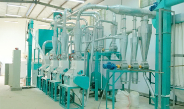 Running Kenya 24 Tons Maize Flour Milling Machine