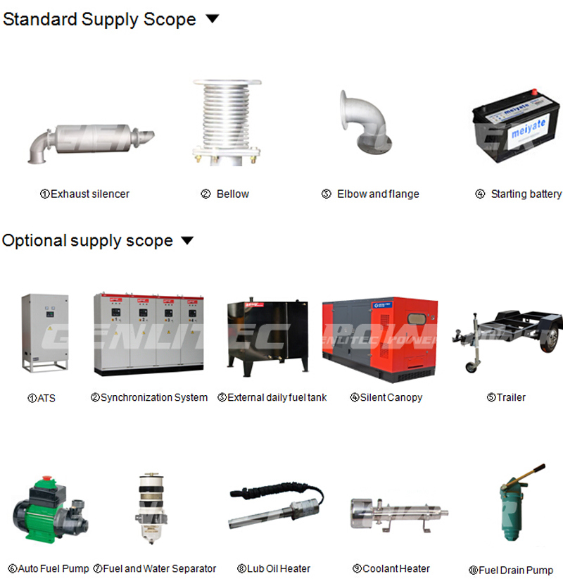 Silent 300kVA Electricity Diesel Generator Powered by Cummins