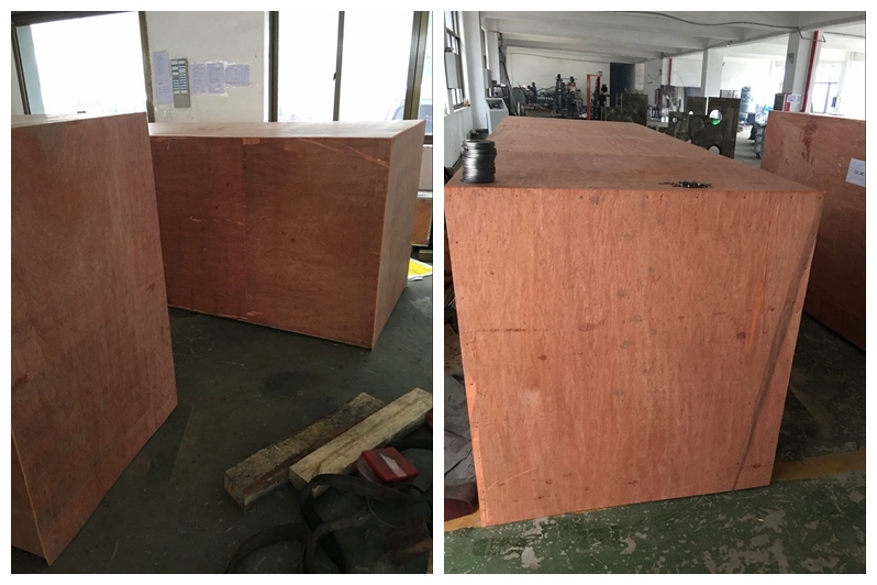 Pillow Type Cup Counting Sealing Packing Machine