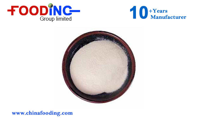 High Quality Thickener Agent Oil Drilling Xanthan Gum 80 Mesh Manufacturer