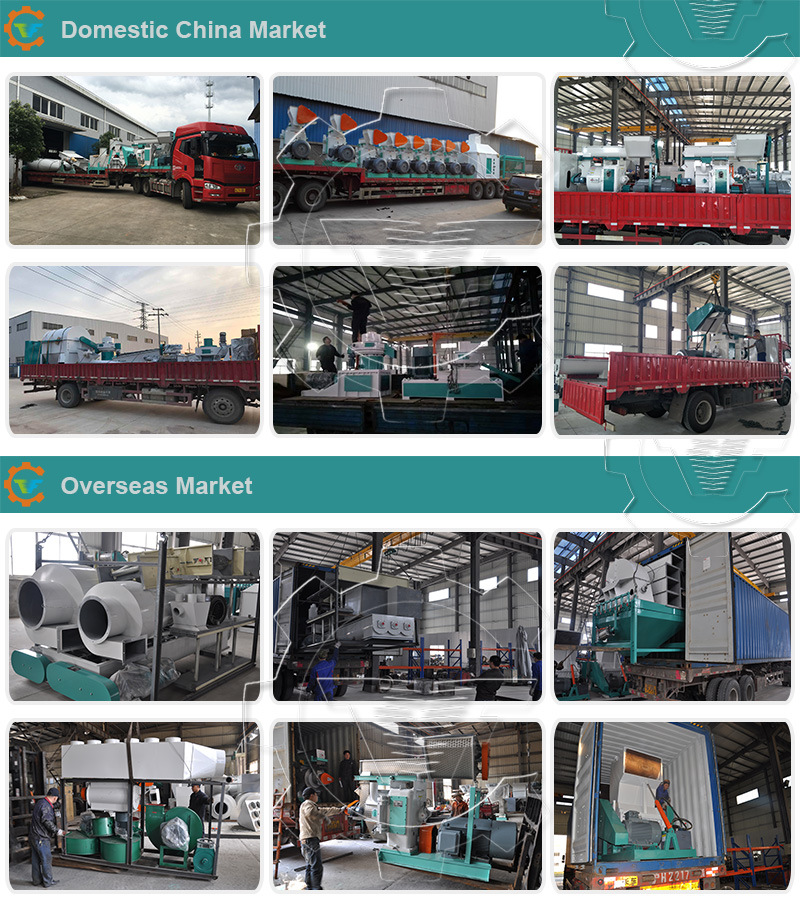 Ring Die Biomass/Wood/Rice Husk/Sawdust Pellet Mill Manufacturers