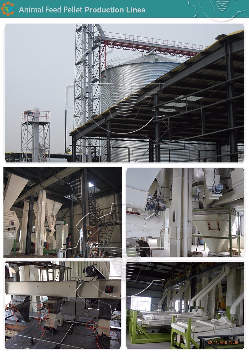 Chicken/Cattle/Fish Animal Feed Pellet Production Line