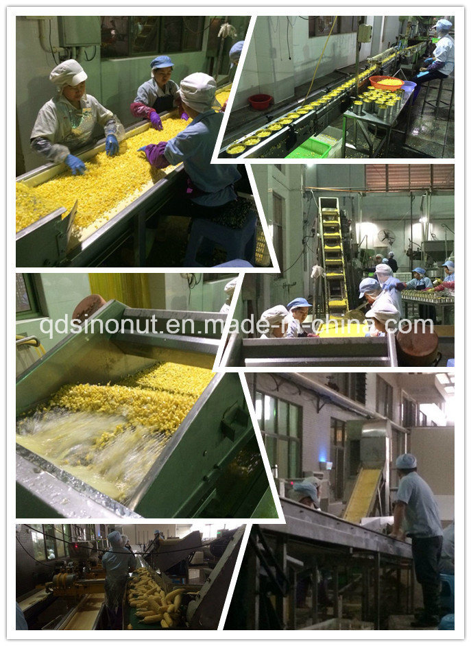 Baby Corn Glass Jar Packing