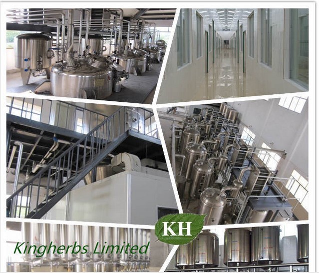 Luo Han Guo Extract 80% Mogrosides, 25% Mogroside V.