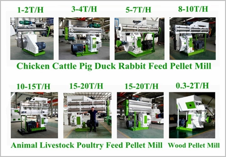 Szlh320 Ring Die Poultry and Livestock Pellet Press