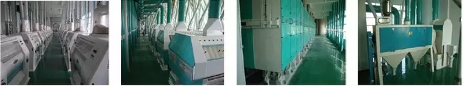 Hot Selling Corn Maize Flour Mill Processing Plant