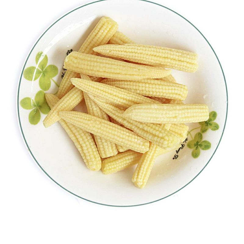 Canned Baby Corn Whole with High Quality