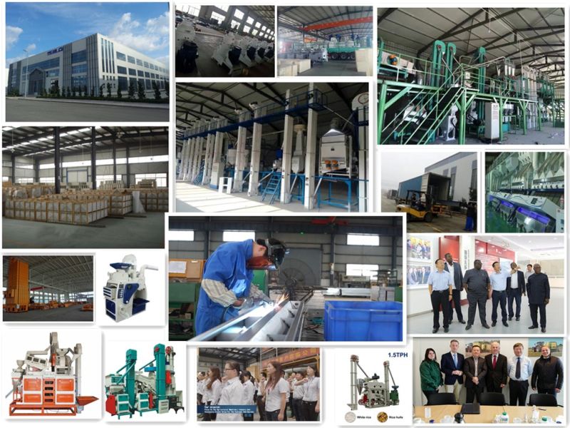 Rice Mill Color Sorting Machine/Grain Color Sorting Machine