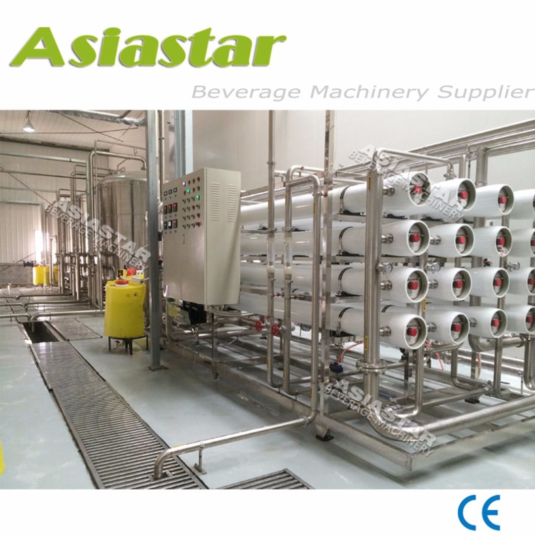 Customized Design Automatic RO Drinking Water System