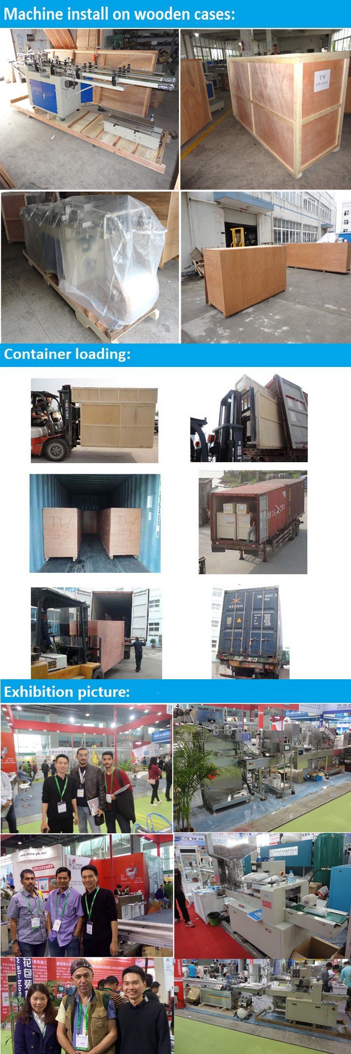 Pillow Type Disposable Cup Counting and Packing Machine