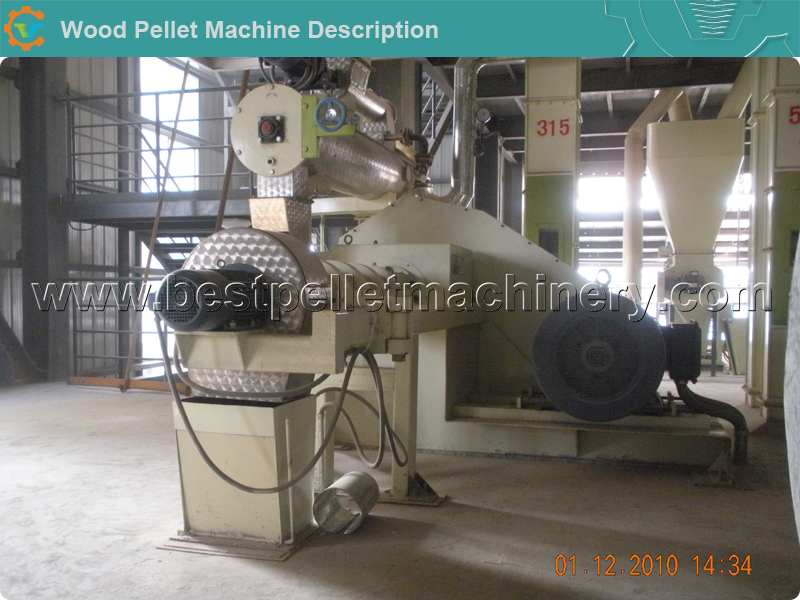 Chicken/Cattle/Fish Animal Feed Pellet Production Line