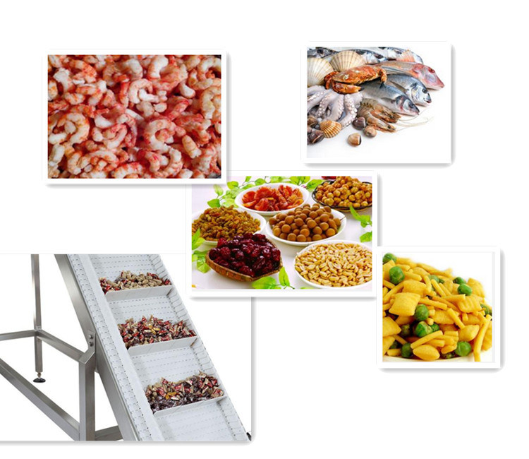 Low Maintenance Portable Inclined Belt Conveyer