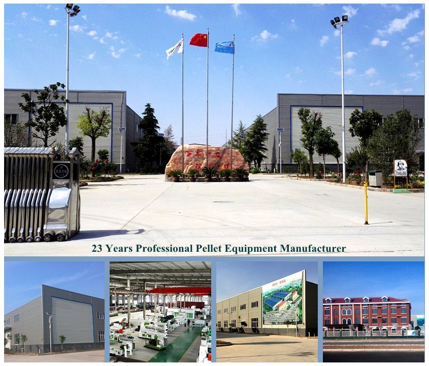 8-10t/H Turn Key Livestock Feed Production Line From Ce Approved Supplier