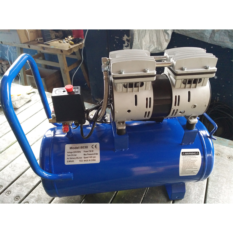750W 30L Air Screw Rotary Portable Oilfree Oilless Piston Compressor Pump