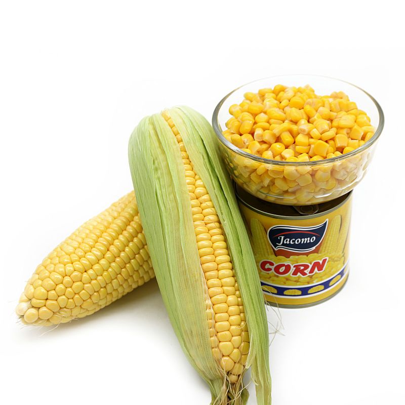 Sweet Corn in Can with High Quality
