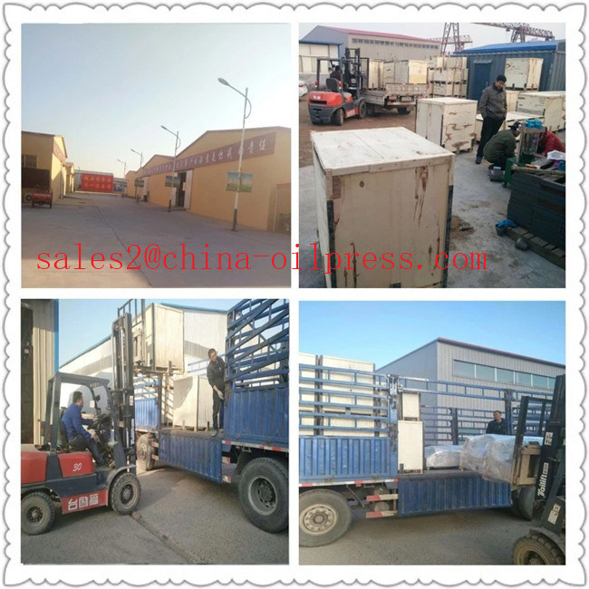 China Factory Supply Peanut Cold Screw Oil Press Making Machine