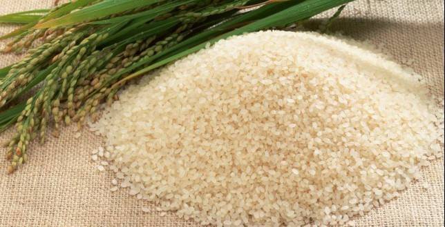 Natural Best -Seller Brown Rice Protein Powder 80%, 90%